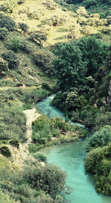 Casa Rural El Nacimiento Benaoján Kültér fotó