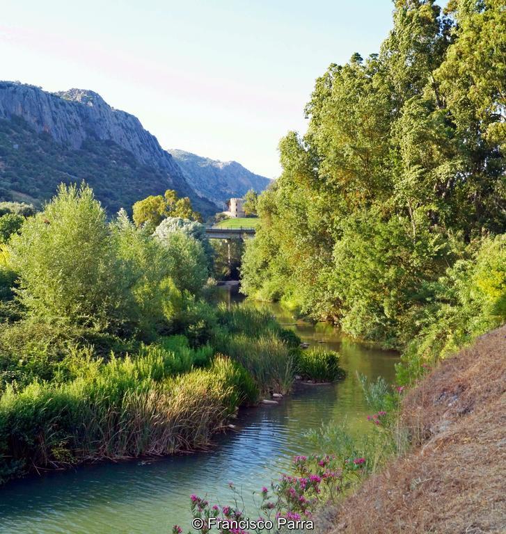 Casa Rural El Nacimiento Benaoján Kültér fotó