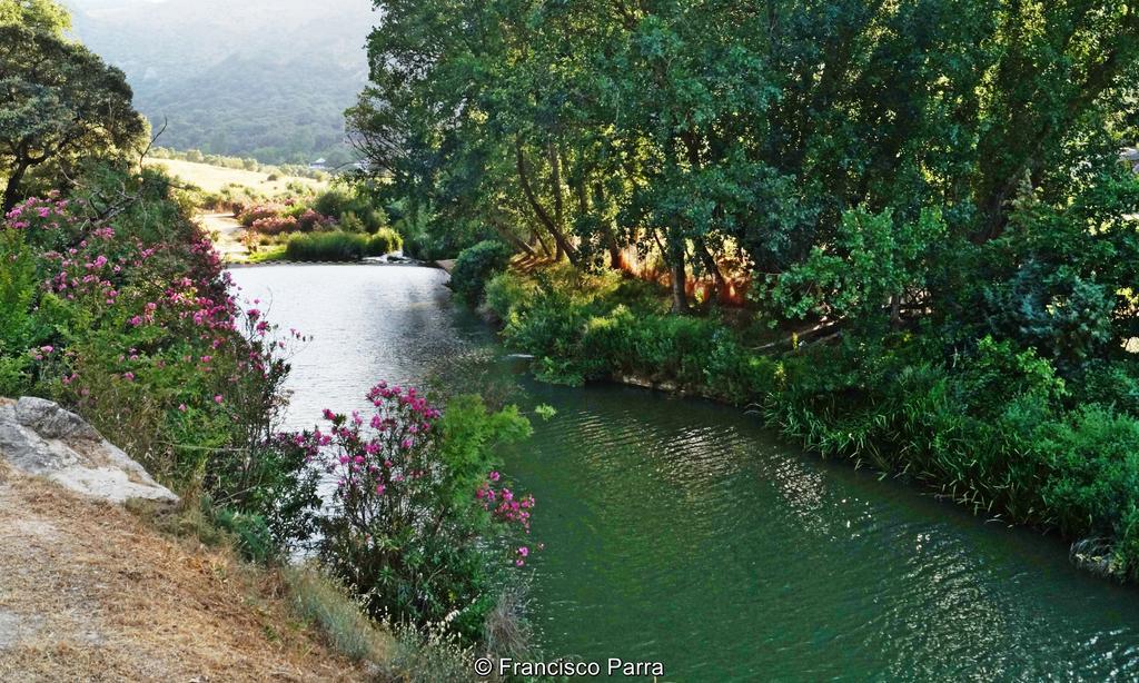 Casa Rural El Nacimiento Benaoján Kültér fotó