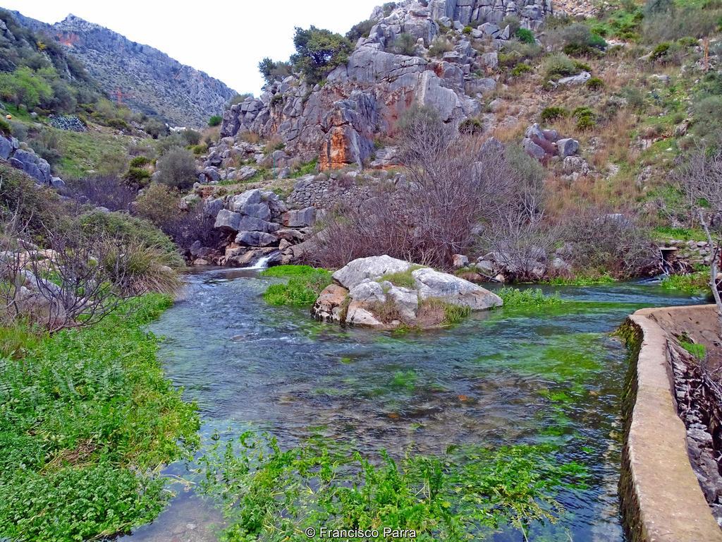 Casa Rural El Nacimiento Benaoján Kültér fotó