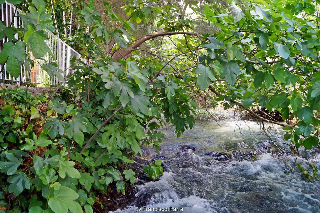 Casa Rural El Nacimiento Benaoján Kültér fotó
